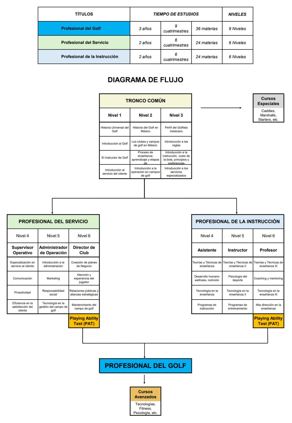 estructura-final